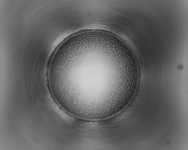 X0000111380990200907171218