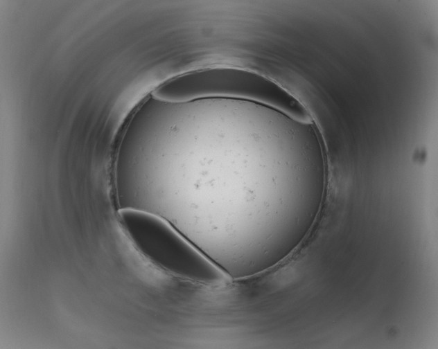 X0000111380997200907171218