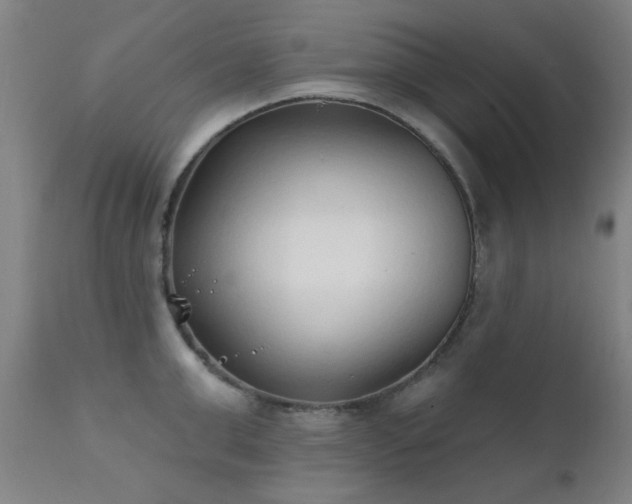 X0000111380999200907171218