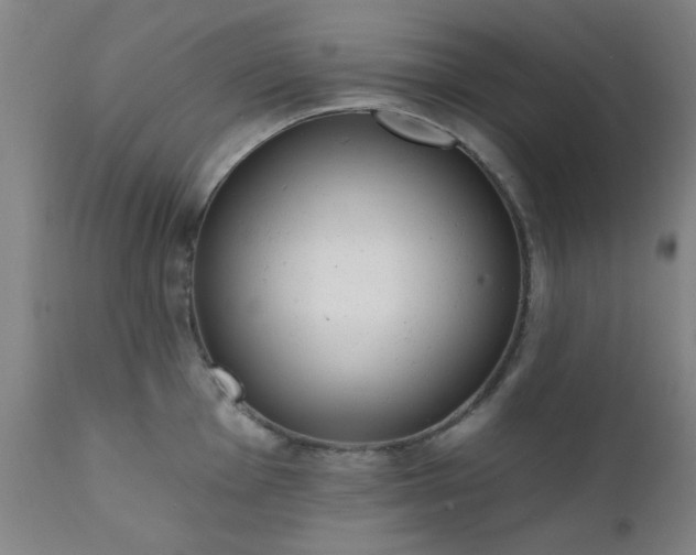X0000111381001200907171218