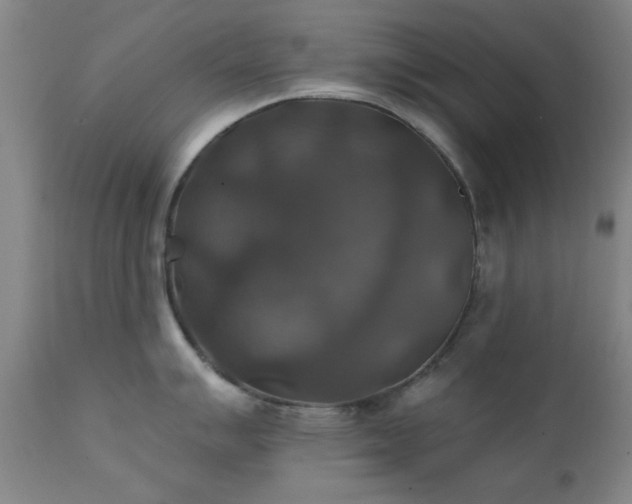 X0000111381007200907171218