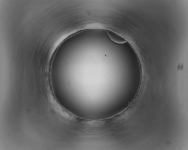 X0000111381008200907171218