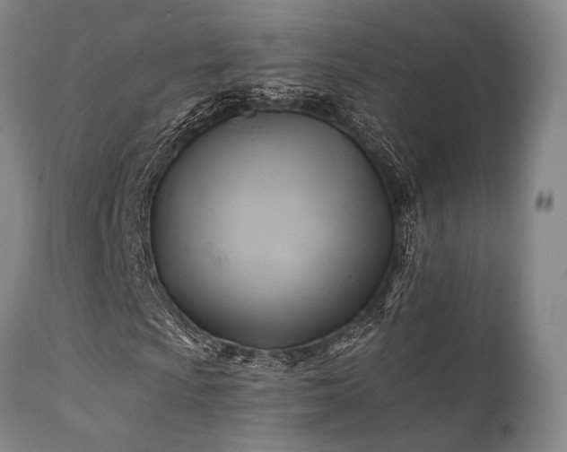 X0000111381009200907171217