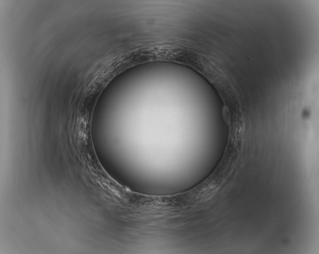 X0000111381010200907171217