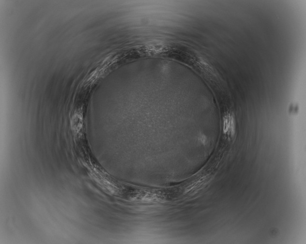 X0000111381011200907171217