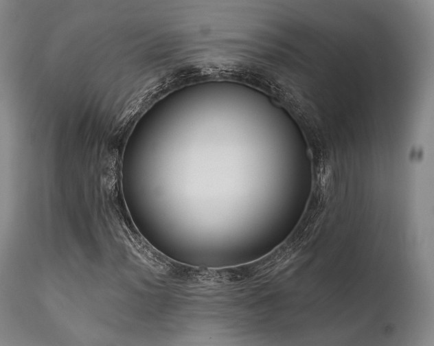 X0000111381012200907171217