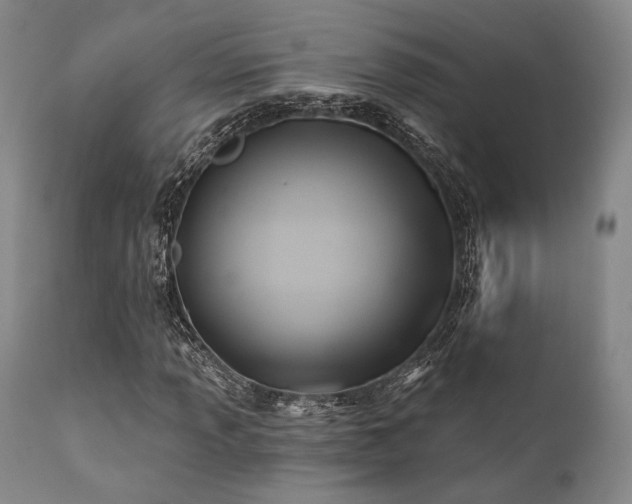 X0000111381013200907171217