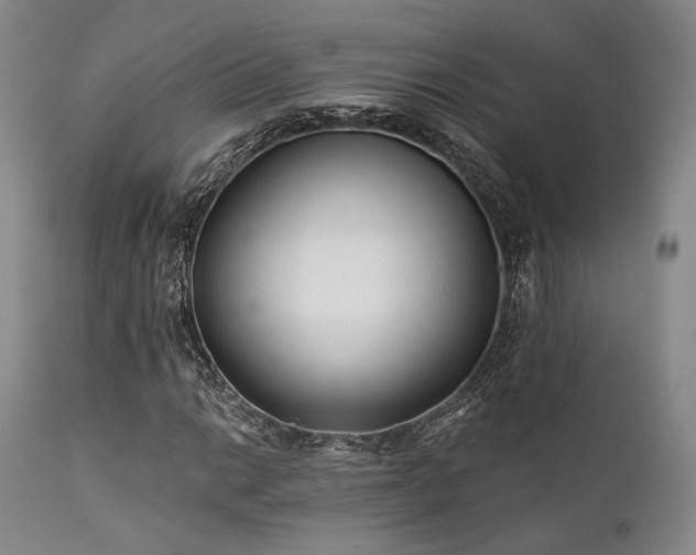 X0000111381014200907171217