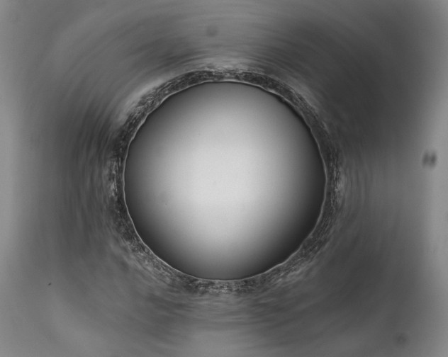 X0000111381016200907171217
