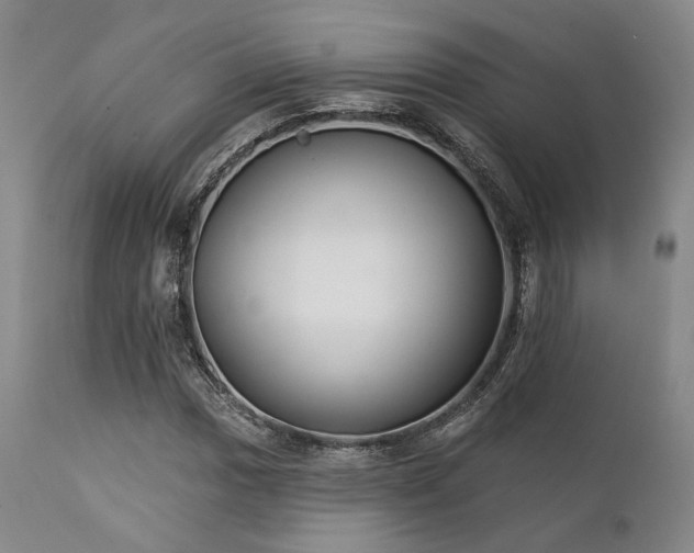 X0000111381017200907171217