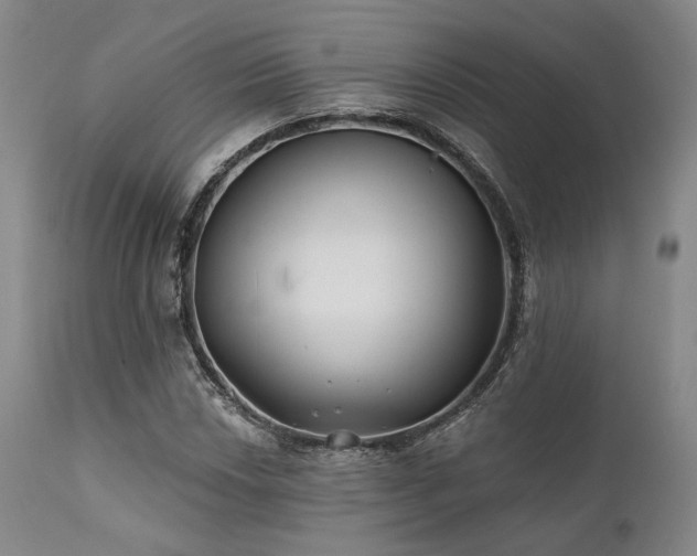 X0000111381018200907171217