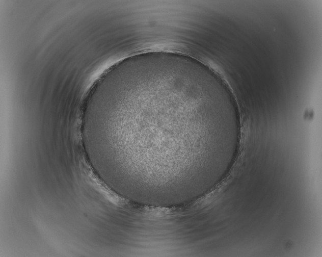 X0000111381019200907171217