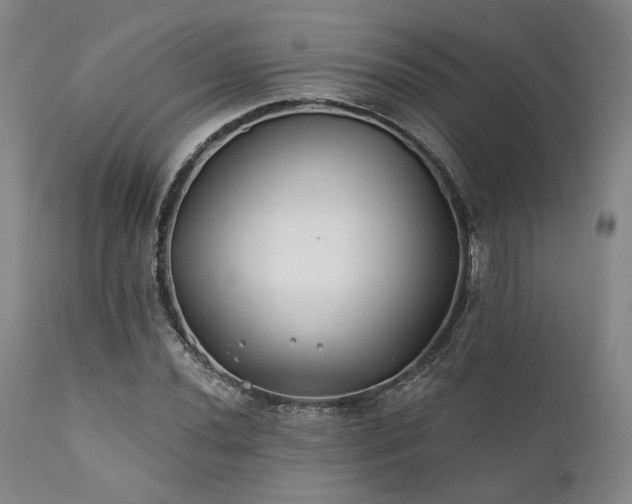 X0000111381020200907171217