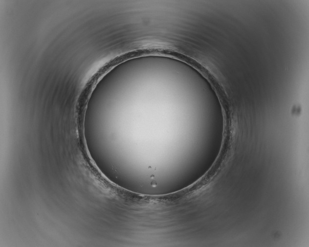 X0000111381022200907171217