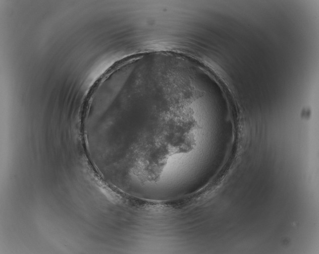 X0000111381023200907171217