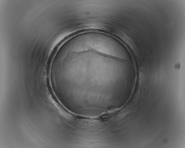 X0000111381024200907171217