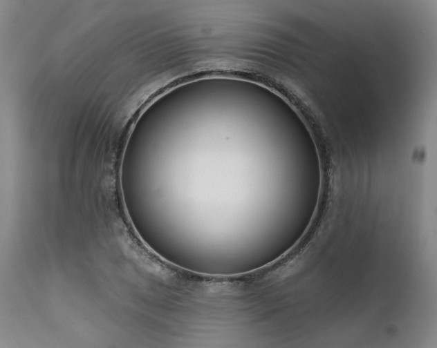 X0000111381025200907171217