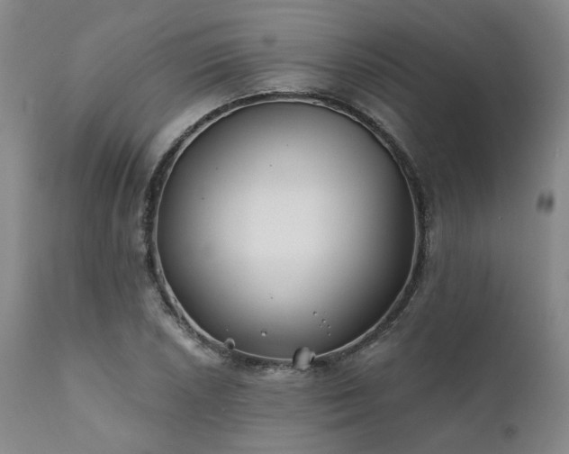X0000111381026200907171217