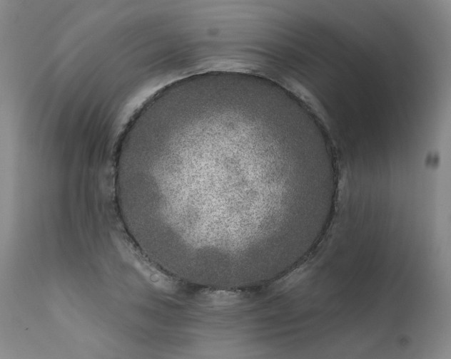 X0000111381027200907171217