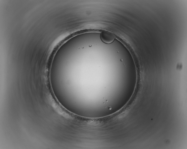 X0000111381029200907171217