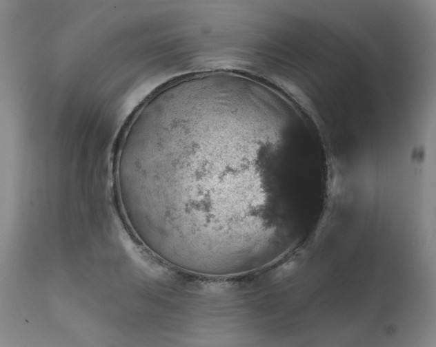 X0000111381031200907171217