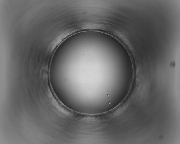 X0000111381033200907171217