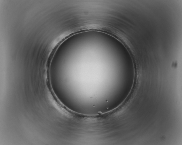 X0000111381034200907171217