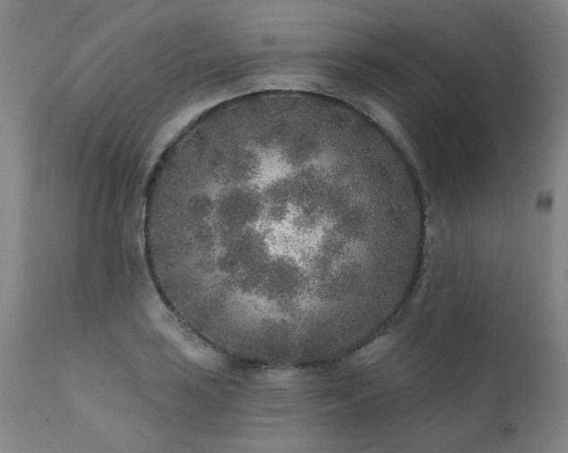 X0000111381035200907171217