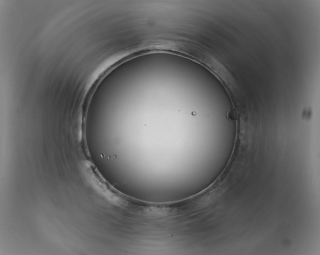 X0000111381036200907171217