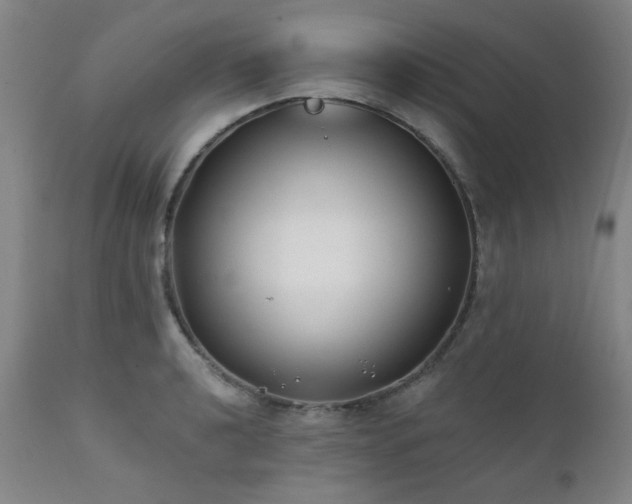 X0000111381040200907171217