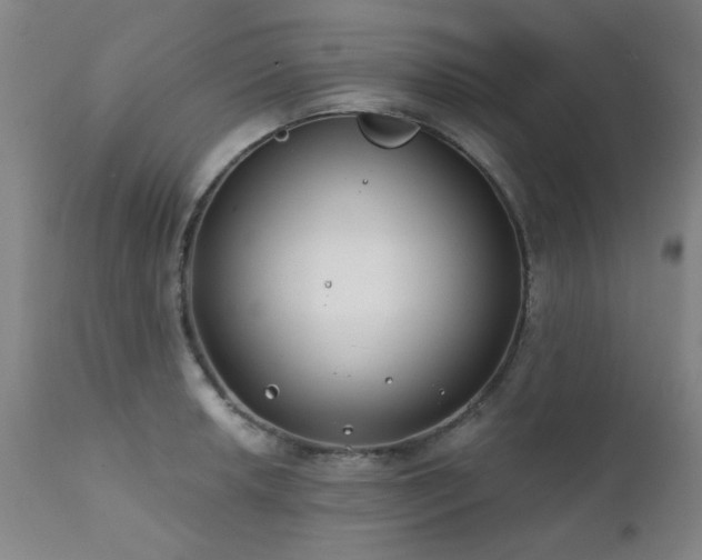 X0000111381042200907171217