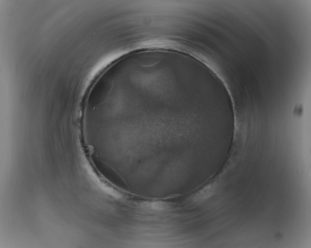 X0000111381045200907171217