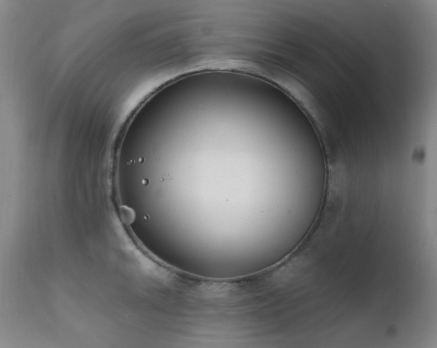 X0000111381046200907171217