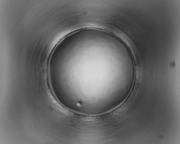 X0000111381048200907171218