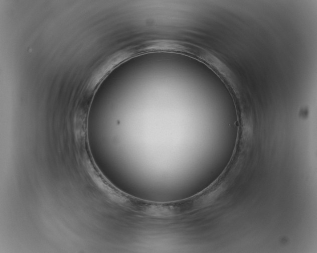 X0000111381049200907171218