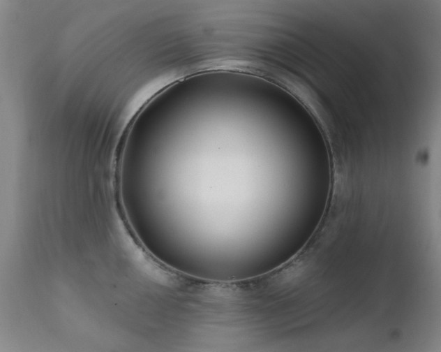 X0000111381050200907171218
