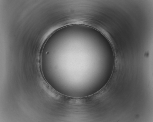 X0000111381051200907171218