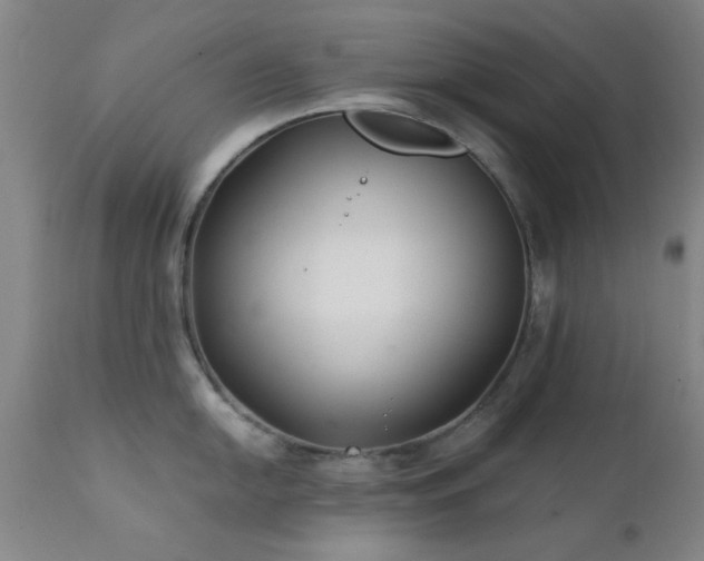 X0000111381054200907171218