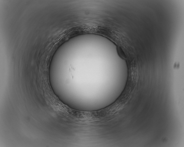 X0000111381057200907171217