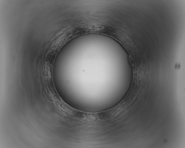 X0000111381058200907171217
