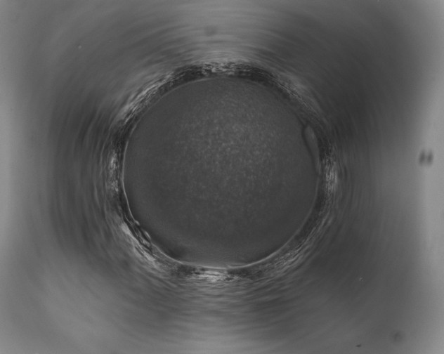 X0000111381060200907171217