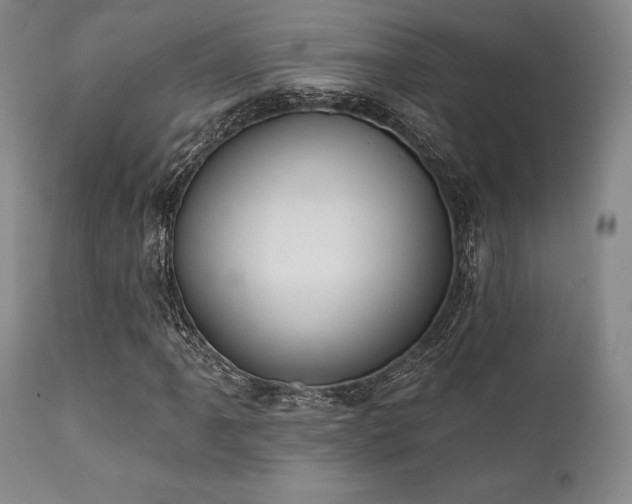 X0000111381061200907171217