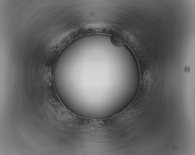 X0000111381062200907171217