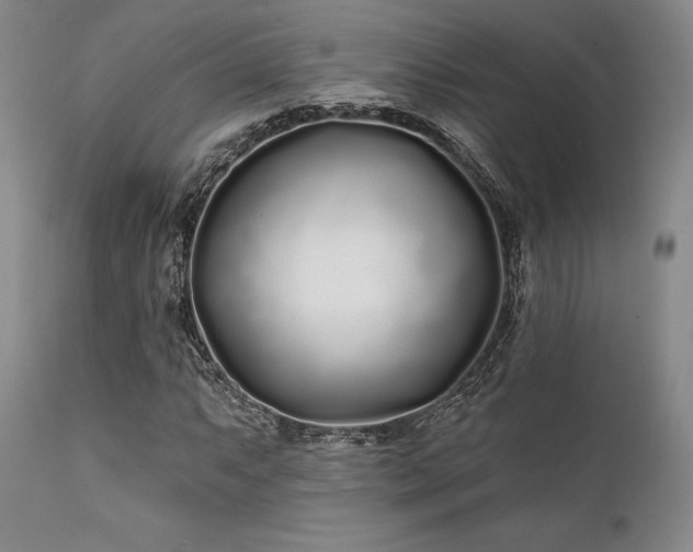 X0000111381063200907171217