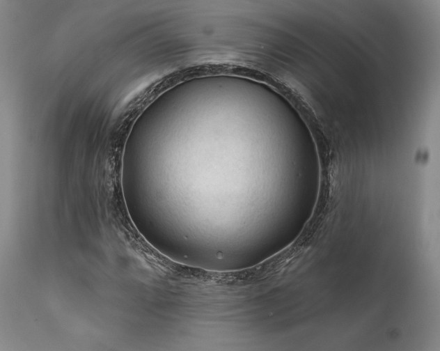 X0000111381064200907171217
