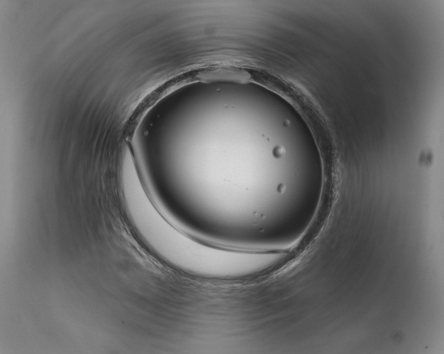 X0000111381065200907171217