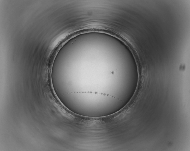 X0000111381067200907171216