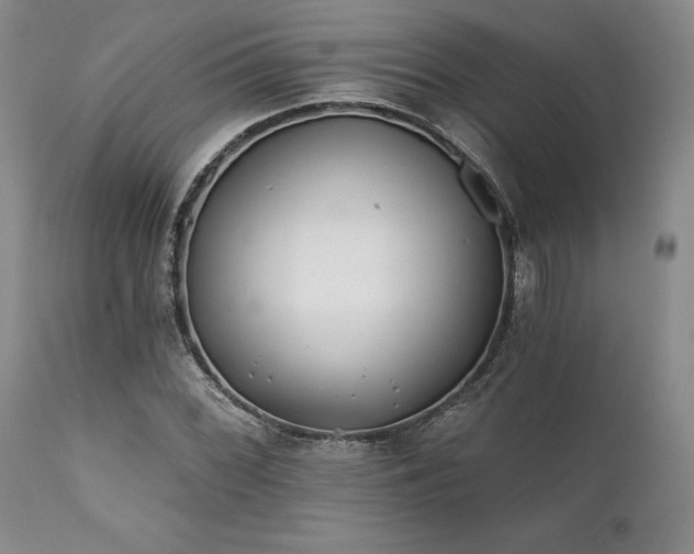 X0000111381068200907171216