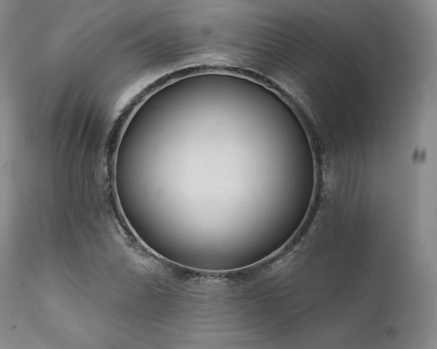 X0000111381070200907171216