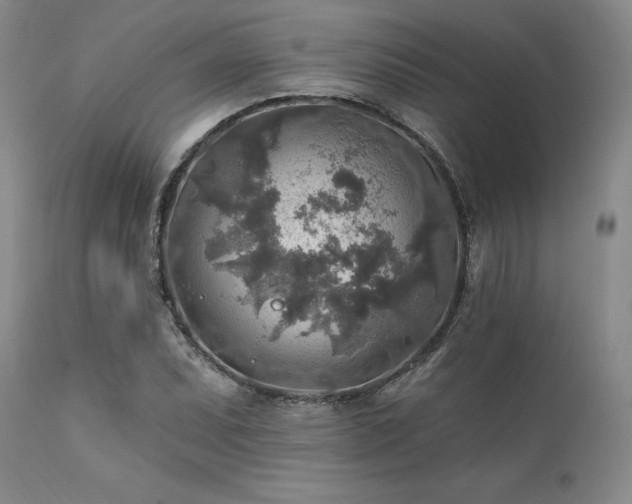 X0000111381071200907171216